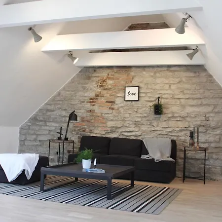 Cozy Penthouse In Town Wall Appartement